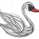 Best Free  Illustration Of Swan On White Background Stock Vector Cartoon Duck Cdr